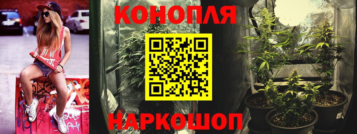 Марихуана гибрид Тихвин